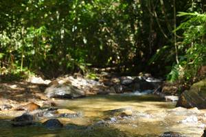 BIB: 
                            <button type="button" onclick="openModal(21853171)" class="btn btn-primary btn-sm float-right btn-popup" data-toggle="modal" data-target=".modal-high-quality">
                        <i class="fas fa-shopping-cart"></i> Add to Cart
                    </button>
                                            <button type="button" onclick="isThisMe(21853171, true)" class="btn btn-success btn-sm float-right btn-popup btn-isme hidden" data-toggle="tooltip" data-placement="bottom" title="นี่คือรูปของคุณใช่ไหม คลิกที่นี่เพื่อเอาเข้าอัลบั้ม">
                        <i class="fas fa-plus"></i> Add to album
                    </button>
                    <button type="button" onclick="isThisMe(21853171, false)" class="btn btn-warning btn-sm float-right btn-popup btn-isnotme hidden">
                        <i class="fas fa-ban"></i> Remove from album
                    </button>